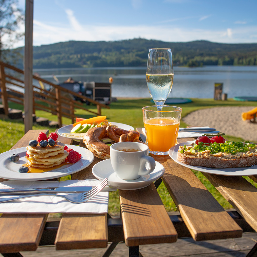 polopenze lipno amenity